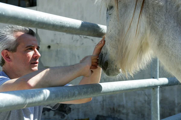 Homem acariciando o nariz de um cavalo — Fotografia de Stock