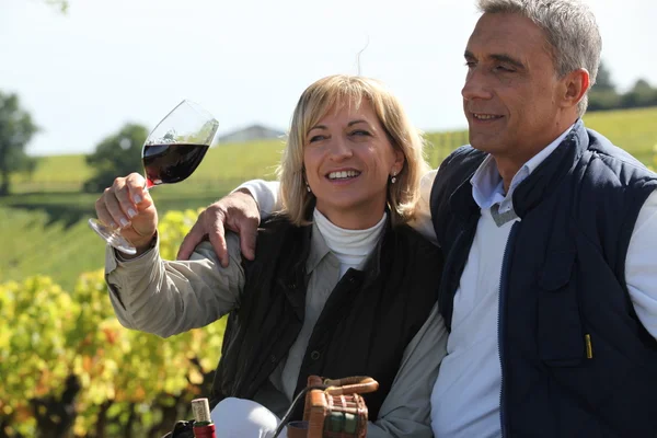 Par i en vingård — Stockfoto