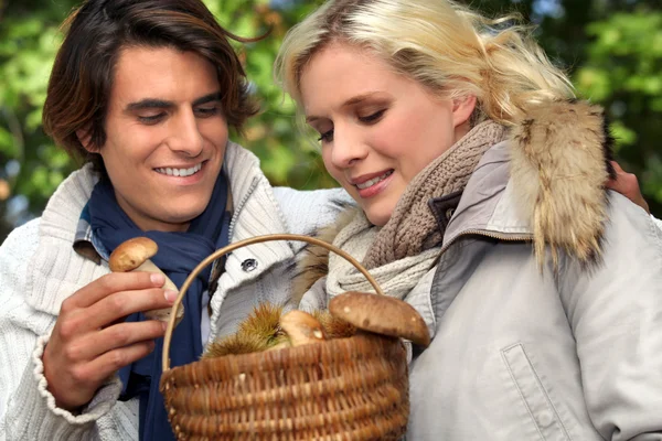 Couple gathering mushrooms in the forest — Stock Photo, Image