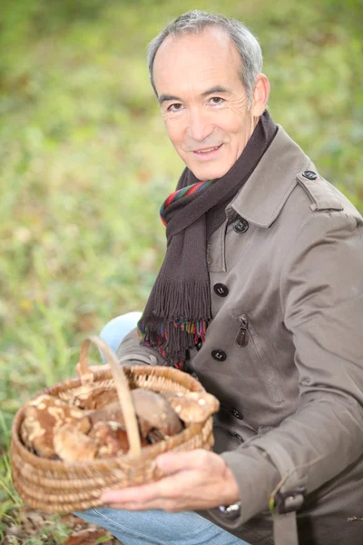 Homem pegando cogumelos na floresta — Fotografia de Stock
