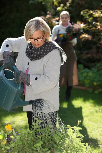 Dame gießt ihren Garten — Stockfoto