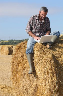 Farmer with a laptop on a haystack clipart