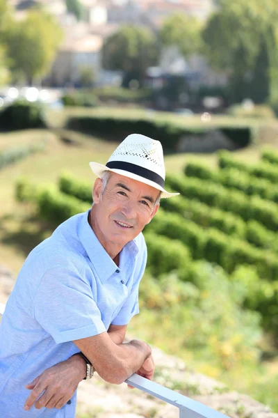 Senior besöka en vingård — Stockfoto
