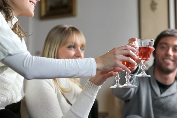 Friends making a toast — Stock Photo, Image