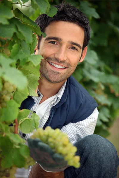 Portret van een man met druiven — Stockfoto