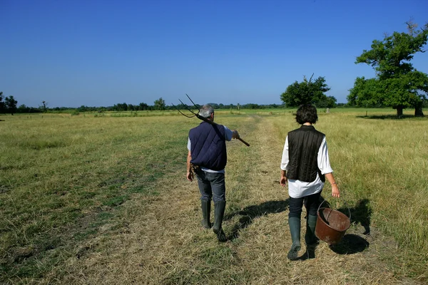 Фермерская пара в поле — стоковое фото