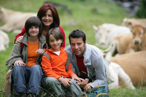 Ung familj sitter i ett fält av nötkreatur — Stockfoto