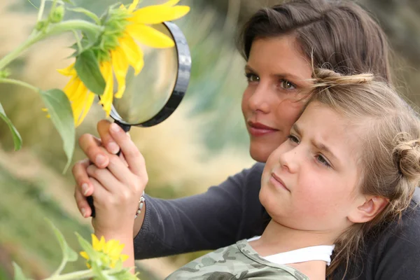 Mother and daughter examining a sunflower through a magnifying glass — Stock Photo, Image