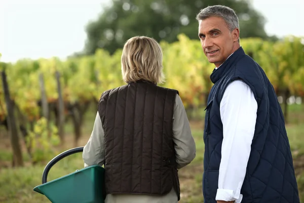 ブドウ園でワインの試飲のカップル — ストック写真
