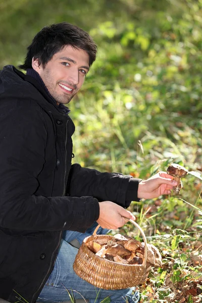 Człowiek zbieranie grzybów — Zdjęcie stockowe