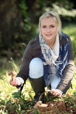 Woman picking mushrooms clipart