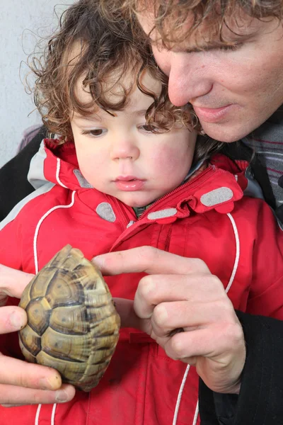 Father and son holding turtle — Stock Photo, Image