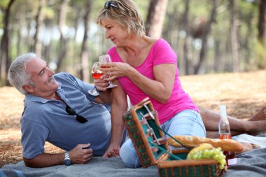 Picnic in the field clipart