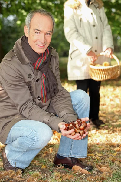Middle-aged couple gathering chestnuts — Stock Photo, Image