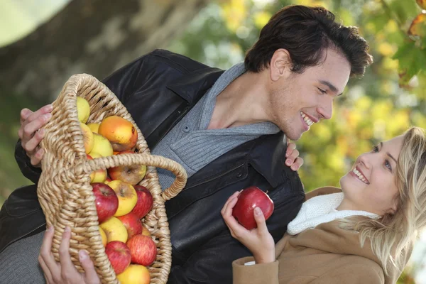커플 따기 사과 — 스톡 사진