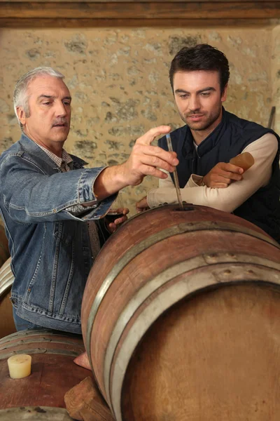 Двое мужчин проверяют качество вина — стоковое фото