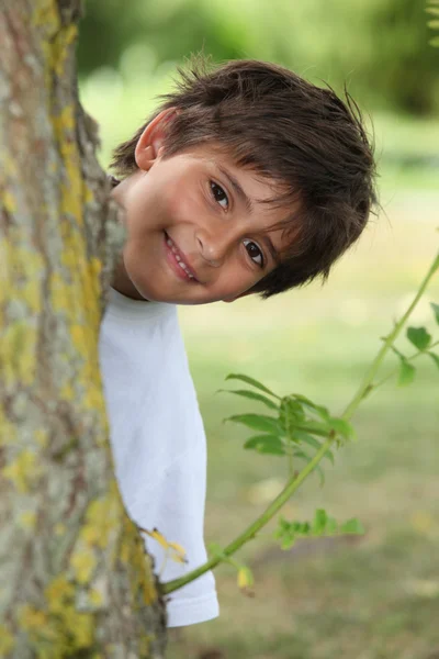 Хлопчик за стовбуром дерева — стокове фото