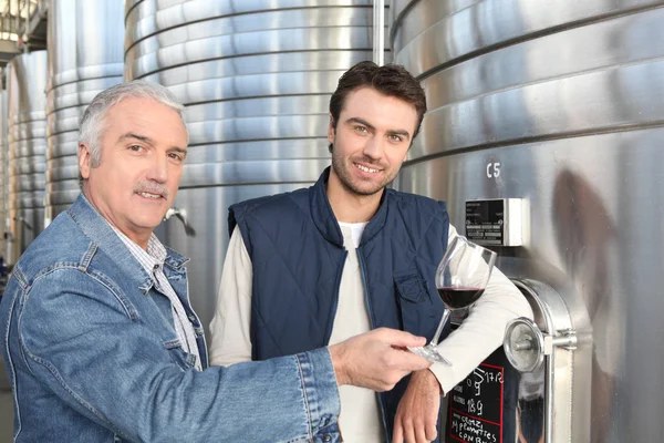 Мужчины в современном винодельческом учреждении — стоковое фото