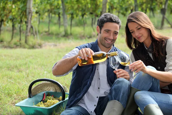 Wijnbouwers proeven van wijn — Stockfoto
