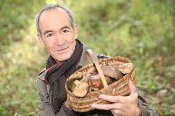 Старший мужчина с корзиной грибов — стоковое фото