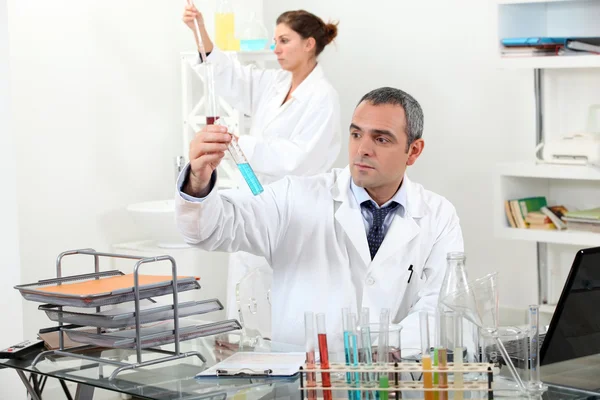 Laboratory work — Stock Photo, Image