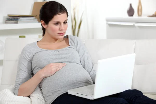 Schwangere Brünette surft im Internet — Stockfoto