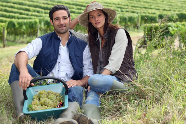 Couple of winegrowers — Stock Photo, Image