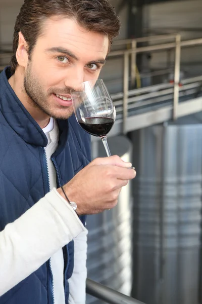 Mann riecht nach Wein — Stockfoto