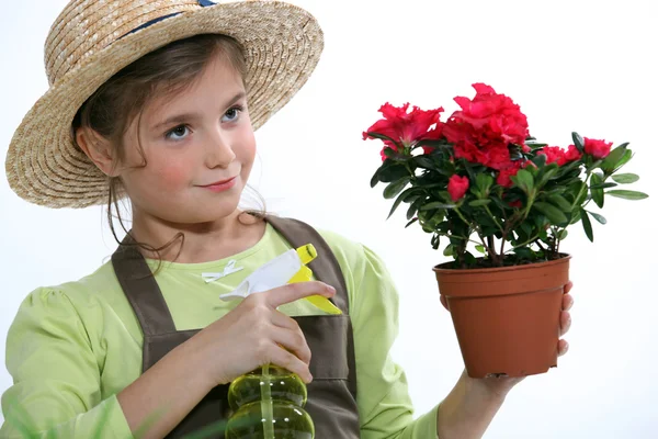 Mädchen pflegen Pflanze — Stockfoto