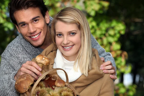 Couple gathering mushrooms in the woods — Stock Photo, Image