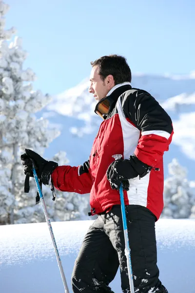 Profile shot of male skier Royalty Free Stock Photos