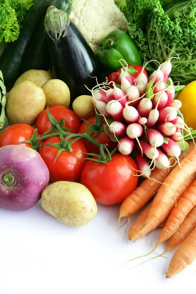 Légumes récoltés — Photo