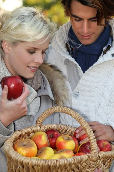 Couple picking apples — Stock Photo, Image