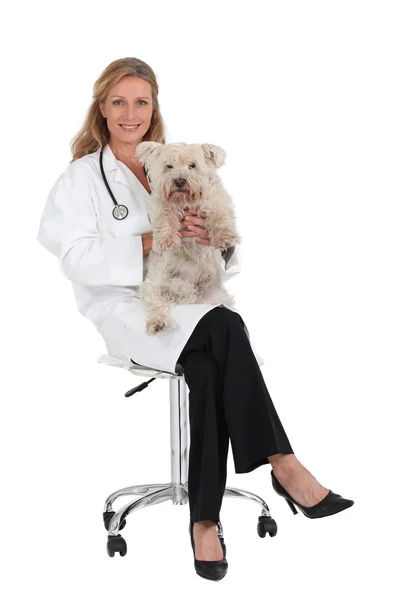 Kobieta lekarz weterynarii gospodarstwa pies — Zdjęcie stockowe