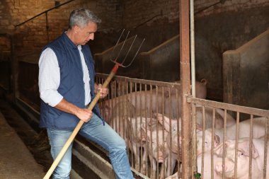 Farmer with pitchfork clipart