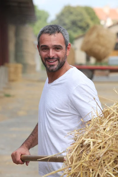 Фермер убирает сено — стоковое фото