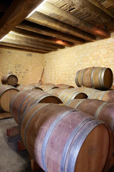 Şarap fıçıları mahzende — Stok fotoğraf