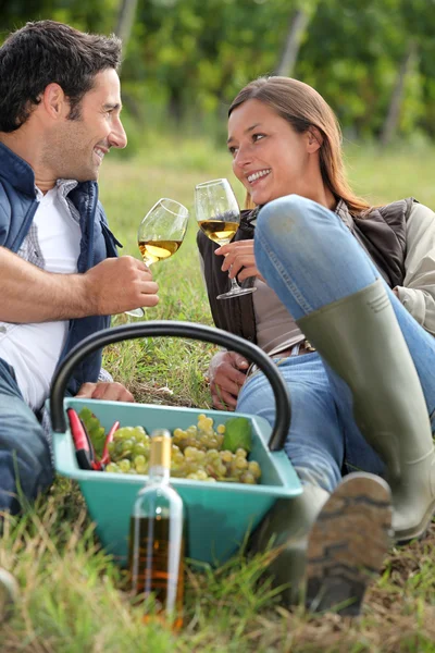 Grape pickers taking a break — Stock Photo, Image