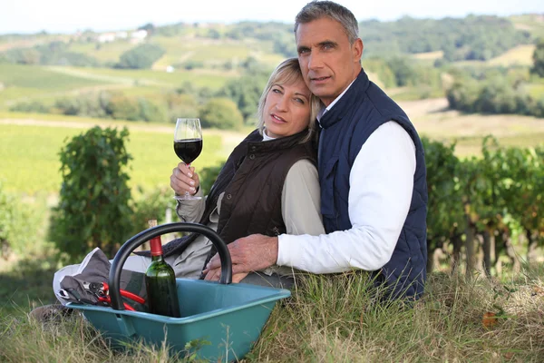 Pareja bebiendo vino por viñedo —  Fotos de Stock