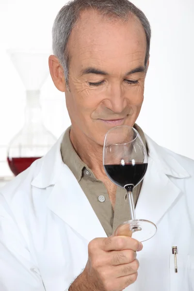 葡萄酒的肖像 — 图库照片