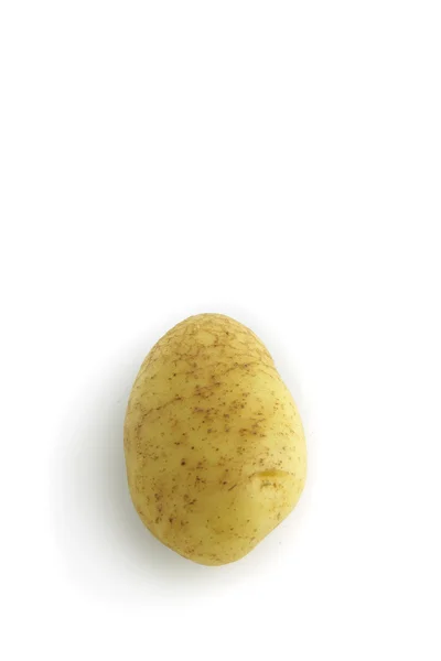 单个马铃薯 — 图库照片