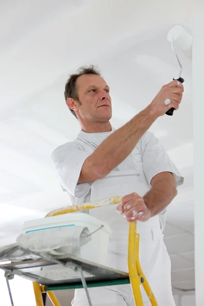 Maler bei der Arbeit auf Leiter — Stockfoto