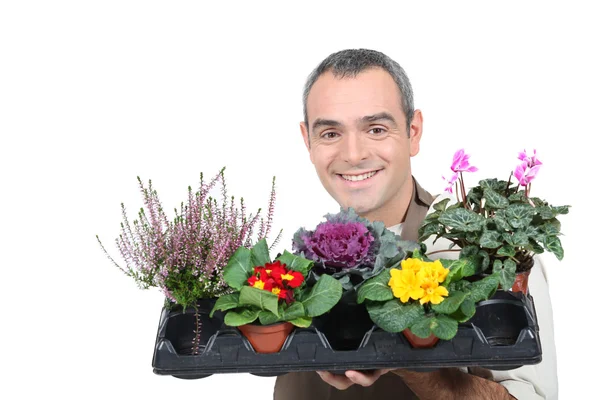 Zahradník s rostlinami — Stock fotografie