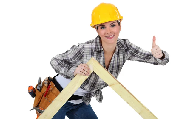 Carpinteiro fêmea com treliça — Fotografia de Stock