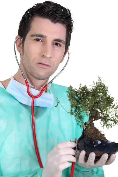 Läkare med stetoskop på bonsai — Stockfoto