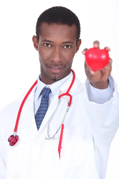 Hospital doctor with a plastic heart in the palm of his hand — Stock Photo, Image