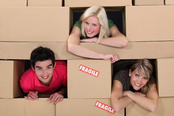 In a wall of boxes — Stock Photo, Image