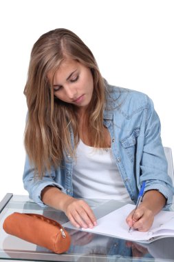 Girl doing homework clipart