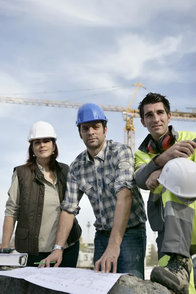 Construction colleagues Stock Image