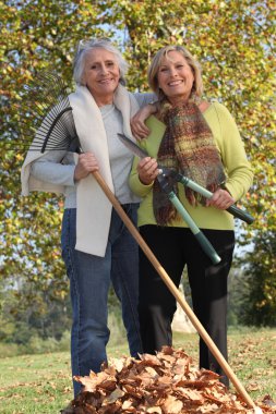 Two old ladies in the garden clipart